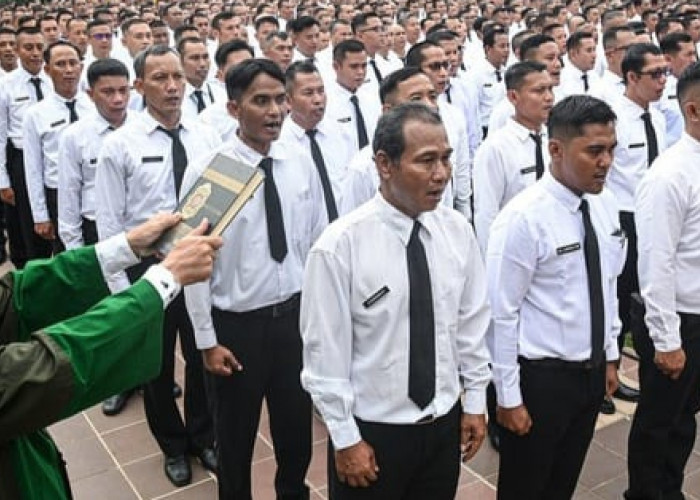 PPPK Paruh Waktu Berstatus ASN, tetapi Kontrak Tetap Ditentukan Evaluasi Tahunan: Ini Penjelasan Lengkapnya