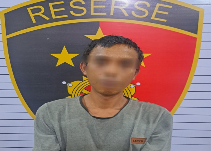 DPO Kekerasan dan Pemerkosaan Ditangkap di Gunung Besurai Jambi