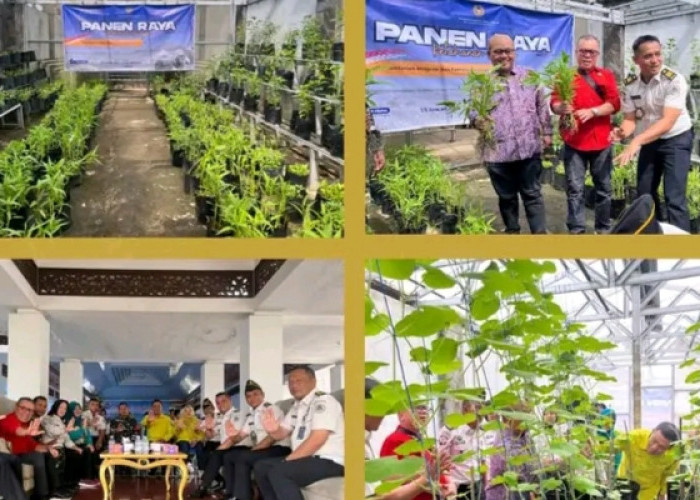 Panen Raya Serentak Bersama Forkopimda