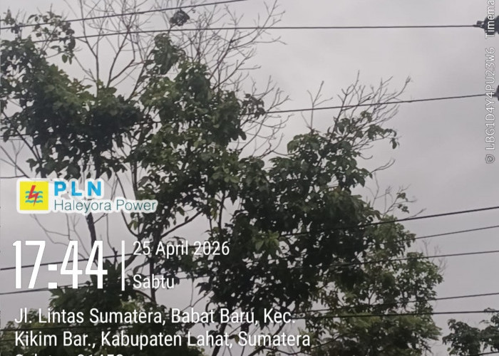 Listrik Padam Massal di Empat Lawang! Warga Menjerit/// PLN Ungkap Penyebab Pohon Tumbang dan Sambaran Petir
