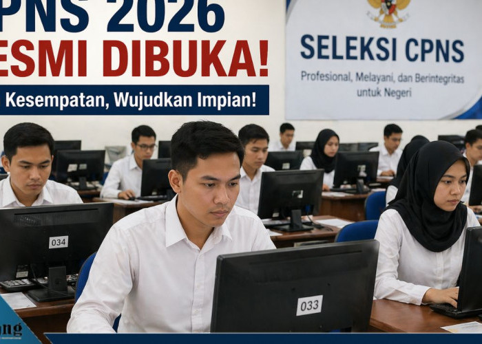 CPNS 2026 Resmi Dibuka! Ini 5 Kementerian dengan Kuota Terbanyak, Peluang Lulus Lebih Besar