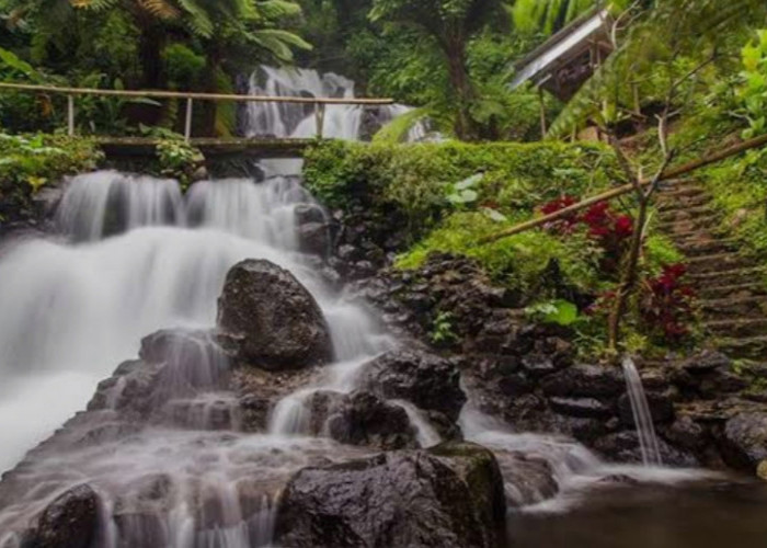 Air Terjun Jembong: Surga Tersembunyi di Buleleng yang Wajib Kamu Kunjungi!