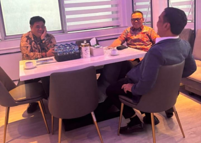 Bupati Joncik Muhammad Audiensi Bersama Wakil Ketua Komisi XI DPR RI