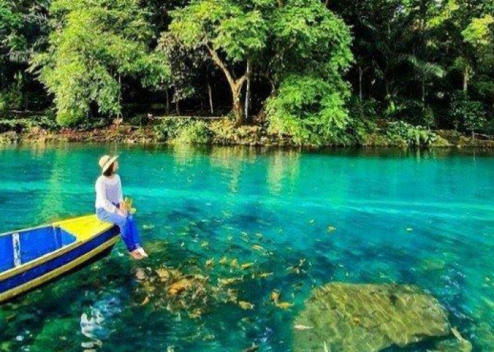 Pesona Situ Cipanten: Danau Jernih dengan Keindahan Bawah Air