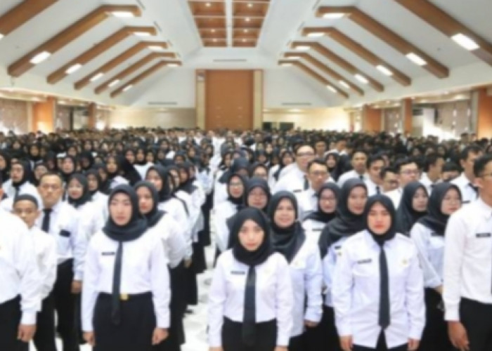 329 Guru SMA Gorontalo Gagal Jadi PPPK, Pemerintah Tegaskan Tak Ada Lagi Rekrutmen ASN 2025