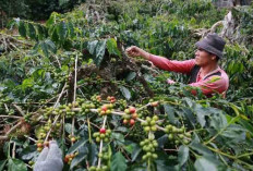 Masyarakat Diimbau Waspada, Antisipasi Aksi Pencurian