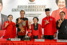 Nasib PDIP di Pilkada 2024 Tanpa Jokowi: Tantangan dan Peluang