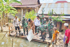 Jaga Ketahanan Pangan, Lepas Benih Ikan Nila