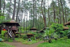 Melihat Pesona Wisata Alam di Bekasi, Destinasi Instagramable untuk Liburan Anda