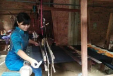 Pengembangan Kampung Dolas Songket di Sawahlunto: Upaya Melestarikan Warisan Budaya dan Meningkatkan Ekonomi M