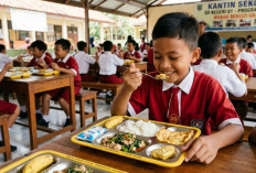BGN Soroti ‘Ternak Yayasan’ di Program Makan Bergizi Gratis, Wakil Kepala BGN: MBG Bukan Ladang Bisnis