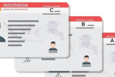 Panduan Lengkap Perpanjangan SIM 2025: Tarif, Syarat, dan Cara Mudah Online & Offline