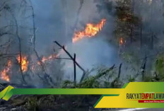 Kebakaran Lahan di Padang Ajan Empat Lawang, 2 Hektare Padang Ilalang Terbakar