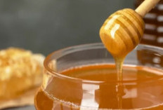 9 Cara Ampuh Membedakan Madu Asli dan Campuran: Jangan Tertipu Lagi!