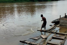 Hasil Tangkapan Ikan di Sungai Musi Menurun