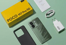 POCO M7 vs POCO M7 Pro 5G: Mana yang Lebih Worth It di 2025?