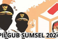 Heri Amalindo Undur Diri dari Pilgub Sumsel 2024