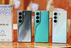 Layar Super Cerah! Ini 5 HP AMOLED Murah Terbaik 2025