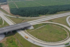Resmi: Tarif Tol Naik 2025, Cek Ruas yang Terdampak!