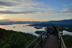 Tahura Sultan Adam Sumbang Rp11 Miliar! Wisata Alam Kalsel Makin Diminati