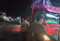 Polsek Muara Pinang Berhasil Tangkap DPO Curat 
