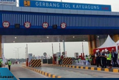 Mega Proyek! 4 Jalan Tol Baru di Sumsel Siap Beroperasi, Nilai Investasi Capai Rp14,97 Triliun