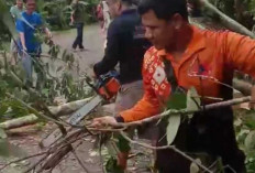 Warga Panik, Kota Sekayu Diterjang Cuaca Ekstrem