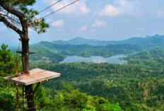 Kalibiru, Surga Tersembunyi di Kulon Progo: Pemandangan Alam dan Spot Foto Instagramable Jadi Daya Tarik Utama