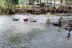 Objek Wisata Sungai Kasie Ditutup Sementara, Penutupan Ini Dipicu Oleh Masalah Pengelolaan dan Keluhan Masyara