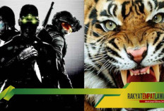 Misteri Detasemen Harimau, Pasukan Khusus Tersembunyi yang Lebih Hebat dari Kopassus