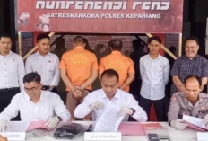 Bandar Narkoba Asal Empat Lawang Raup Ditangkap Polda Bengkulu