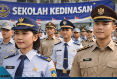 Peluang Emas Jadi ASN! Ini 7 Sekolah Kedinasan dengan Kesempatan Lolos Lebih Besar di 2026