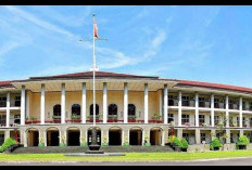 Rektor UGM Diyakini Bakal Dipanggil Jadi Saksi di Sidang Kasus Tudingan Ijazah Jokowi, Ini Penjelasannya