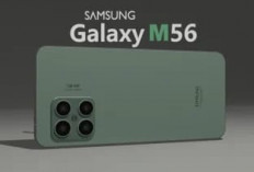 Galaxy M56 5G: Tipis, Kencang, dan Tahan 6 Tahun