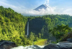 Air Terjun Kapas Biru: Pesona Tersembunyi di Lumajang yang Bak Negeri Kahyangan