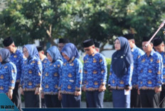 Resmi! Gaji ASN Naik hingga 12 Persen, PPPK Dapat Tambahan Rp200 Ribu: Ini Rincian Lengkap dan Tunjangannya Ta