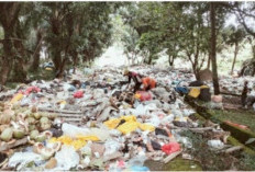 Tumpukan Sampah Menghiasi TPA Bukit Kecil UPTD Persampahan: Alat Berat Rusak