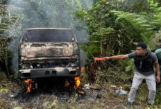 KKB Bunuh Sopir dan Bakar Truk di Papua Pegunungan