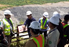 15 Perusahaan Tambang dan Perkebunan Terciduk Bermasalah