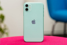 iPhone 2025: iPhone 11 Cuma Rp3 Jutaan, iPhone 16 Siap Goda Dompetmu