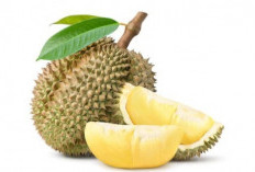 6 Kelompok yang Harus Waspada: Bahaya Konsumsi Durian untuk Kesehatan