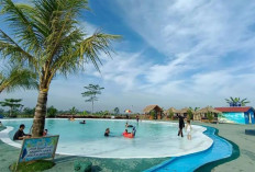 3 Rekomendasi Wisata Banyumas: Alam, Sejarah, dan Keunikan Lokal dalam Satu Paket