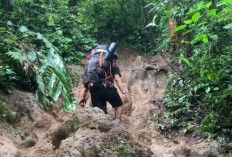 Tutup Jalur Pendakian Gunung Dempo Hingga Agustus