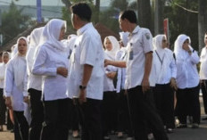 Gagal Jadi PPPK Paruh Waktu? Ini 3 Alasan Honorer R2 & R3 Terdepak!