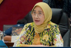 Ketua Komisi X DPR RI Tegas! Kesejahteraan Guru Harus Jauh di Atas UMP, Perlindungan dan Sertifikasi Wajib Dip