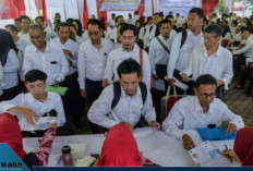 66.495 Honorer Ditolak Jadi PPPK Paruh Waktu, Pemerintah Siapkan Solusi Baru