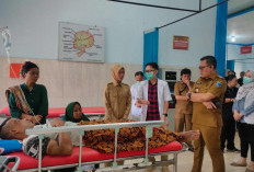 Wabup Widia Sidak RSUD