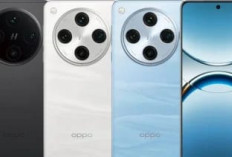 Harga HP 5G Anjlok Awal 2026, Oppo Find X8 Pro Turun Rp6 Juta, Ini Daftar Lengkapnya!