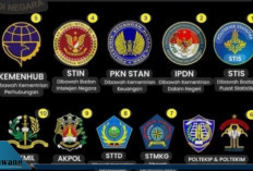 Dibuka 29 Juni! Ini Jadwal Lengkap dan Tahapan Seleksi Sekolah Kedinasan 2025 dari Pendaftaran hingga SKD