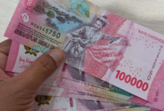 Cek Daerahmu Sekarang! Transfer THR dan Tunjangan Sertifikasi Guru 2025 Dipastikan 100 Persen, Ini Daftar Wila